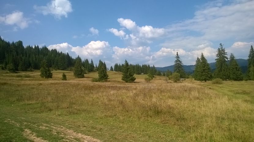 Lasam Tarnita in urma - SEPTEMBRIE 2016 Alpinele si Padurea