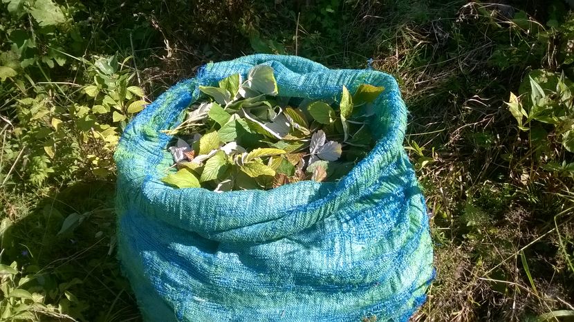 Sacul cu bunatati la capre-k8