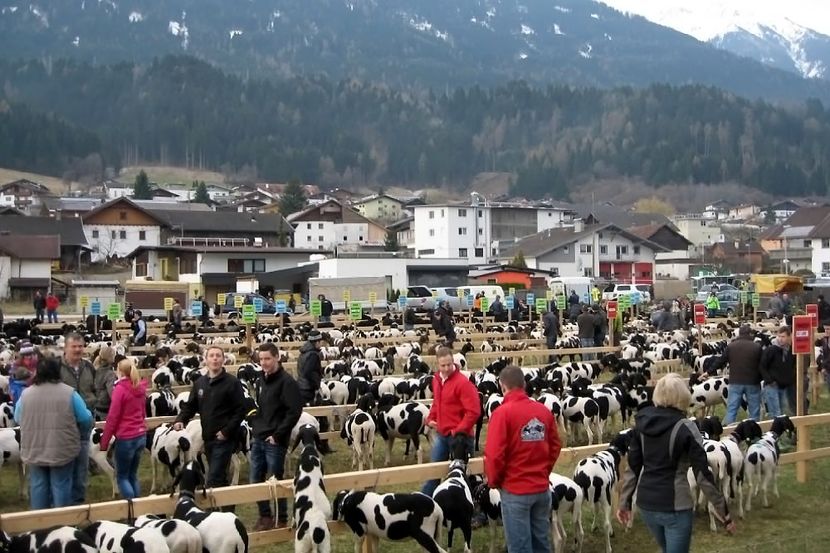 La un targ de oi Tscheggenschaf -2016