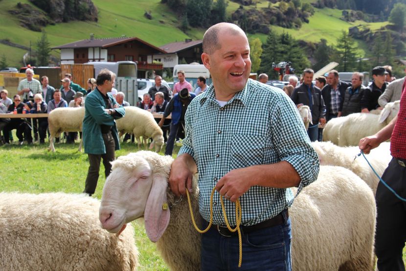 Concurs cu oitele din Tirol-5sj - Rase de oi si capre poze deosebite-12