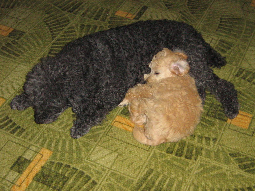 Bruny a ramas cu mama Muky - MUKY_ ceva special