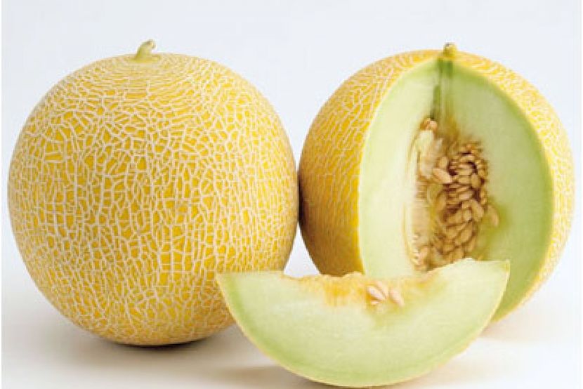 Pepene galben Arava F1 - SEMINTE HOBBY de legume si plante aromatice