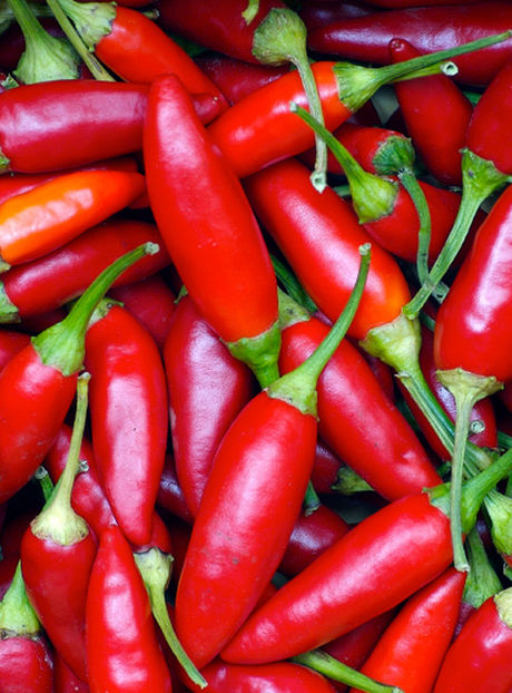 Ardei iute Piri-Piri2 - SEMINTE HOBBY de legume si plante aromatice