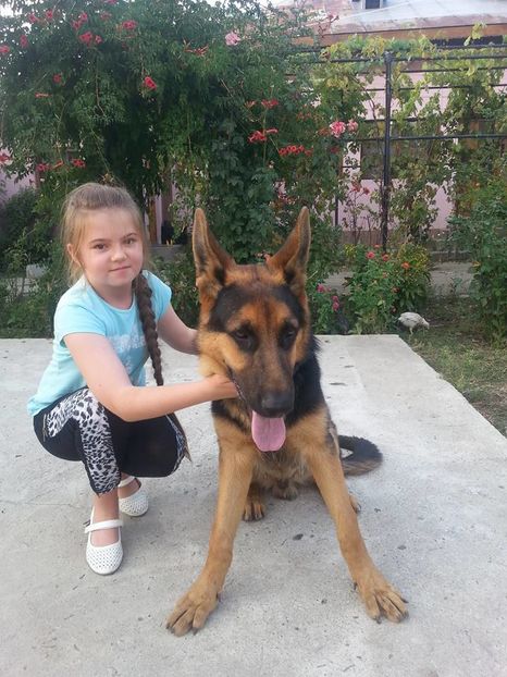 Gerhard - 6 luni; Gerhard - 6 luni
