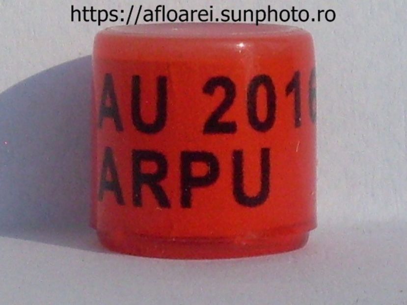 au arpu 2016 ros