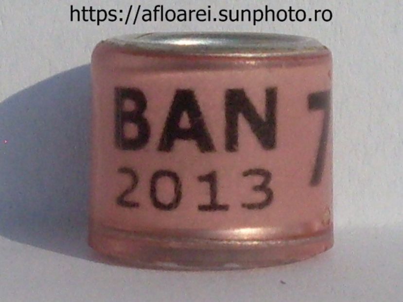 ban 2013