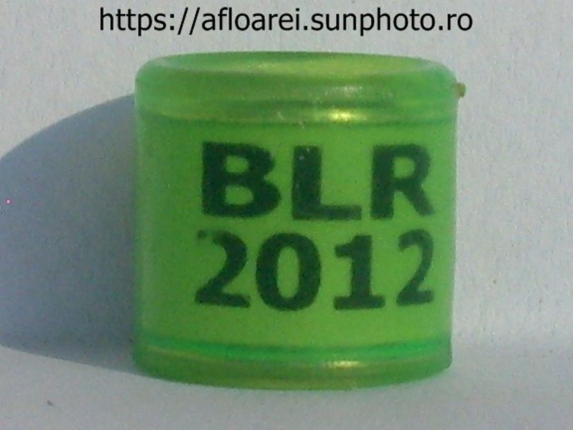 blr 2012 - BELARUS-BLR