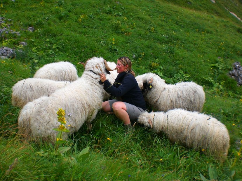 Femeia cu oitele Bot-Negru-6hp