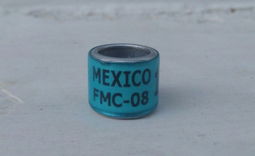 MEXIC 2008