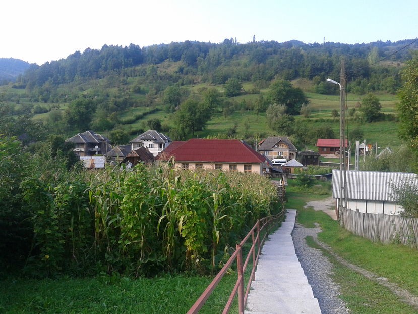 Fotografie0400 - A - 3 Valea Stejarului  comuna Vadul Izei