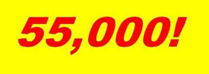  - 236000 de vizite