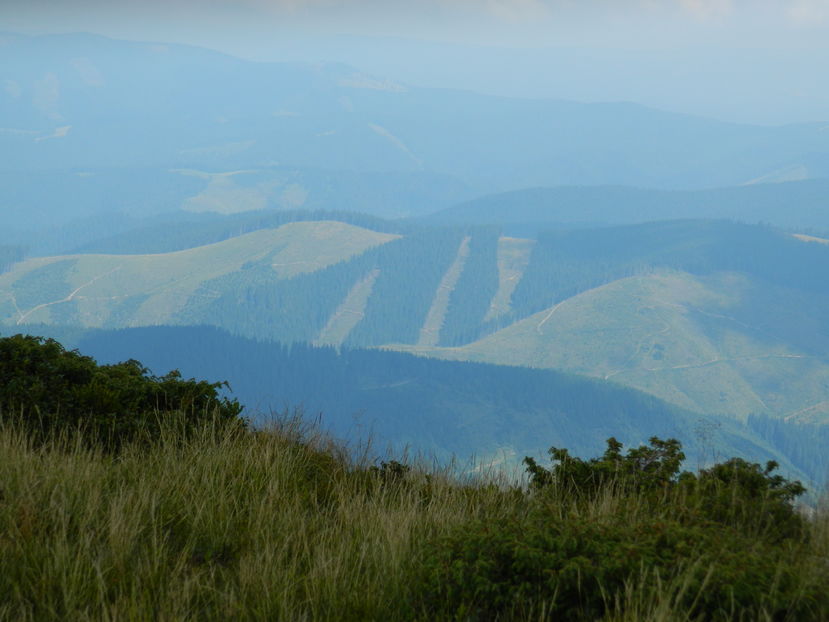  - 2016 PARANGU MIC _4