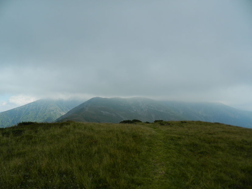  - 2016 PARANGU MIC _4