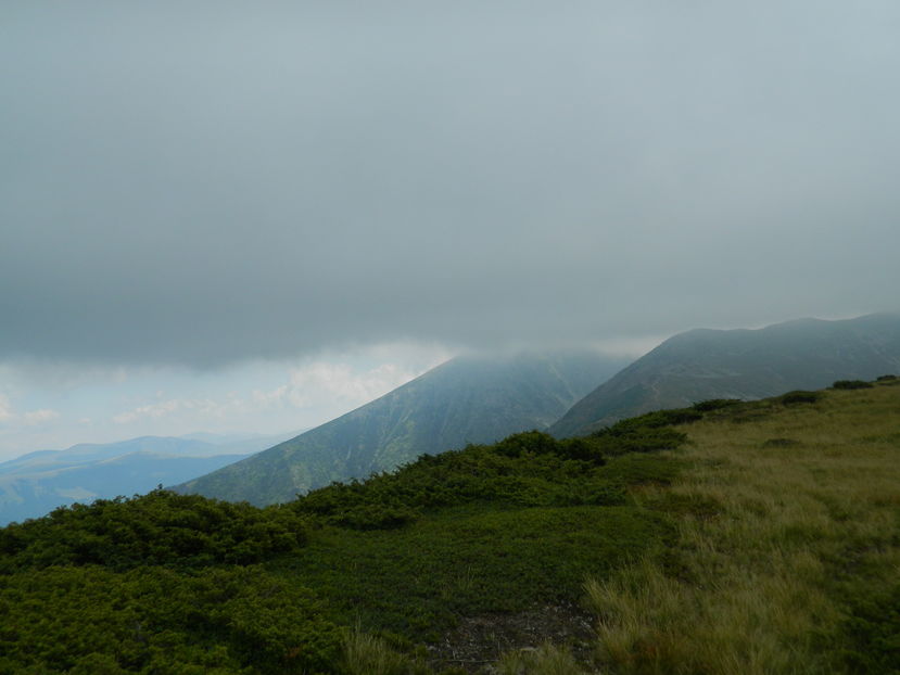  - 2016 PARANGU MIC _4