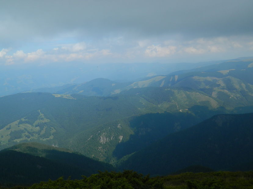  - 2016 PARANGU MIC _4