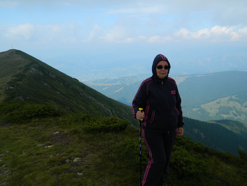  - 2016 PARANGU MIC _4