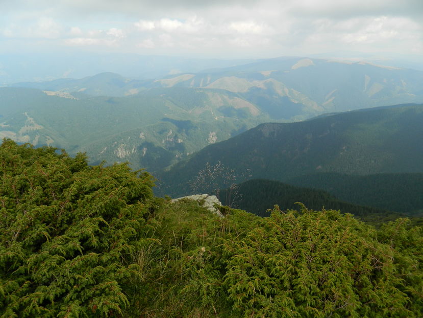  - 2016 PARANGU MIC _4