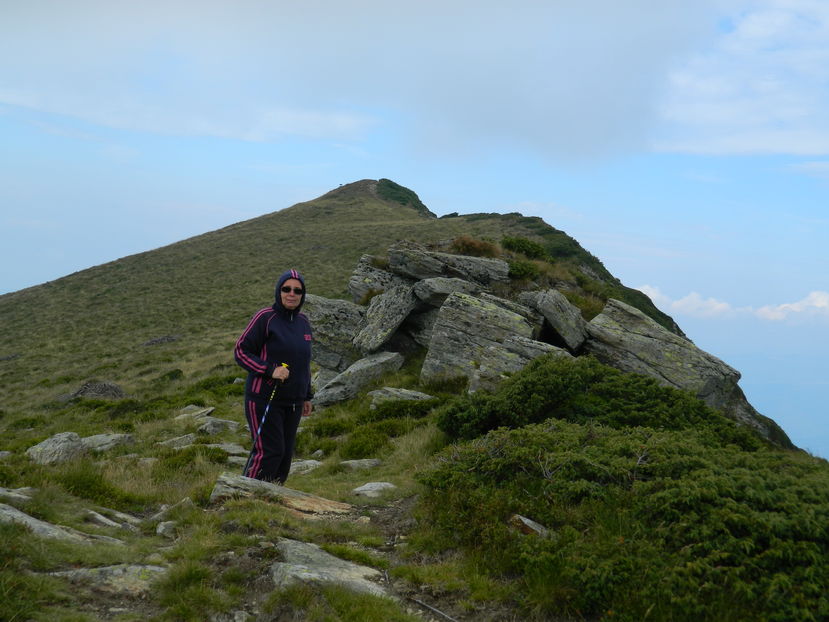  - 2016 PARANGU MIC _4