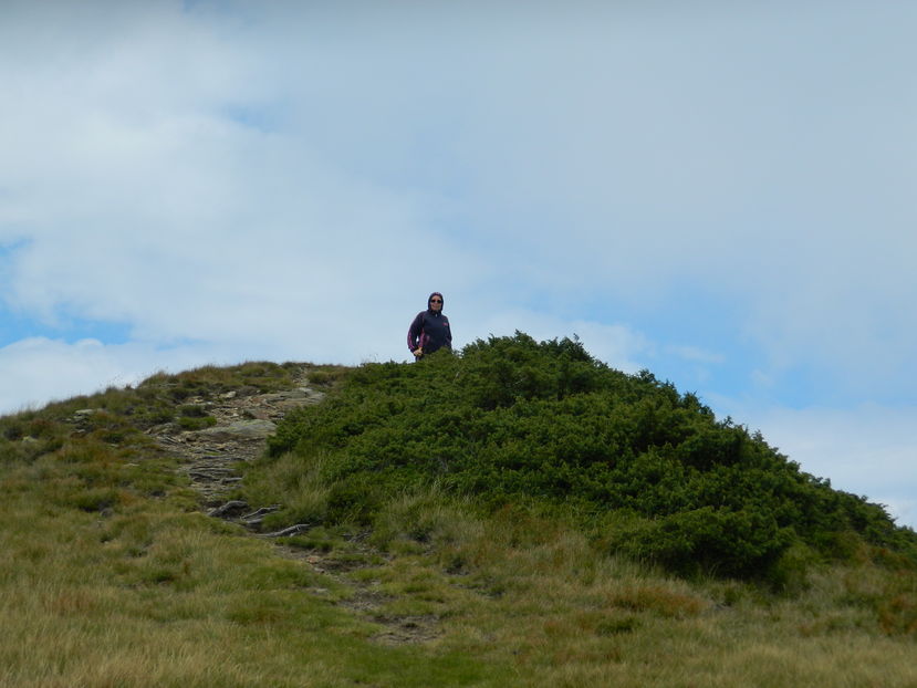  - 2016 PARANGU MIC _4