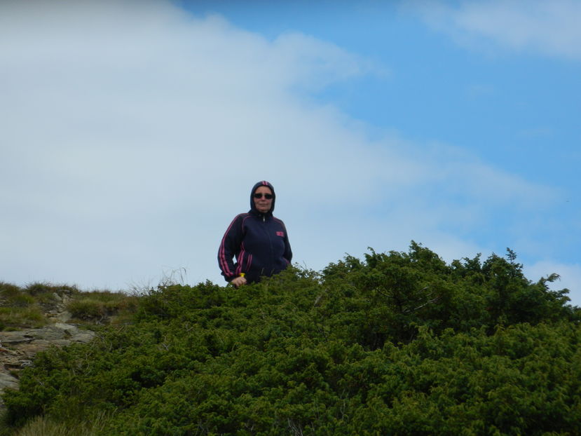  - 2016 PARANGU MIC _4