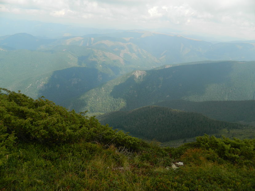  - 2016 PARANGU MIC _4