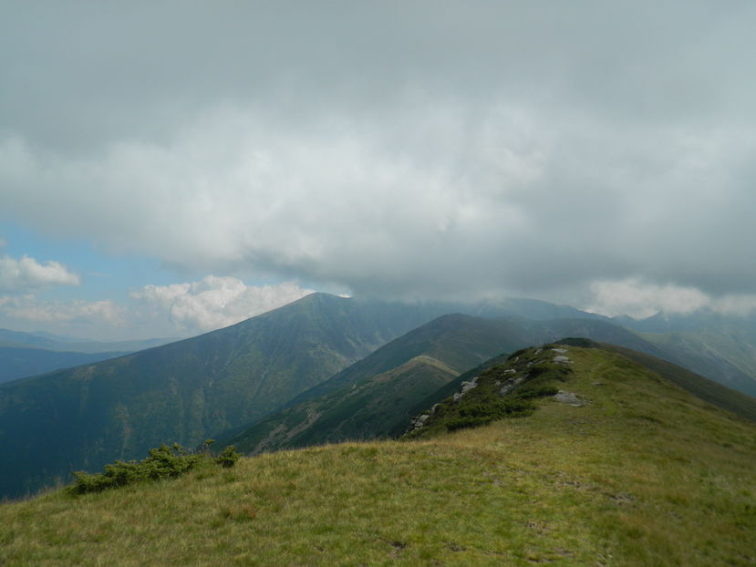  - 2016 PARANGU MIC _4