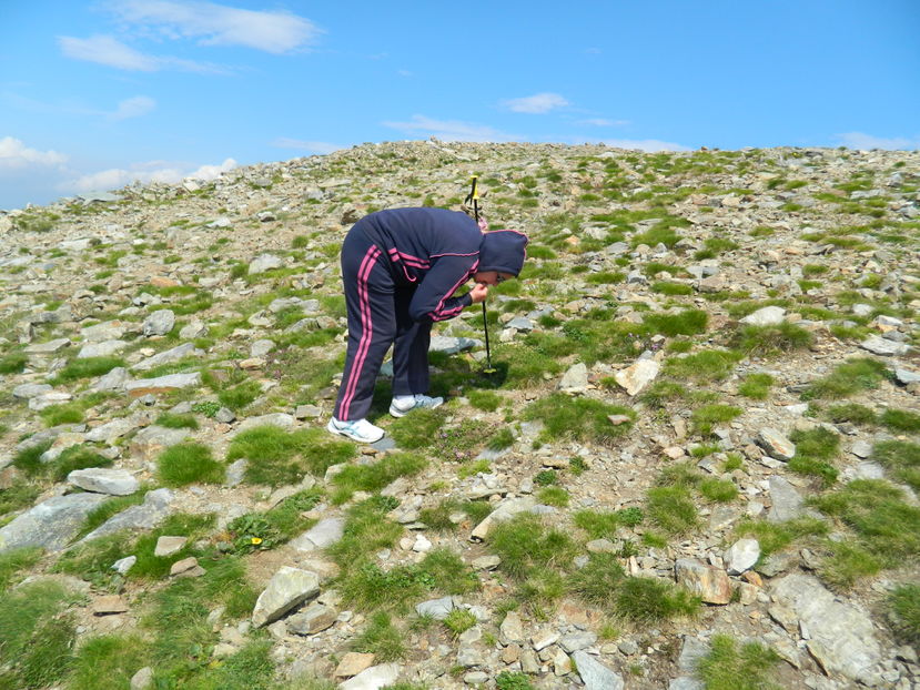  - 2016 PARANGU MIC _4