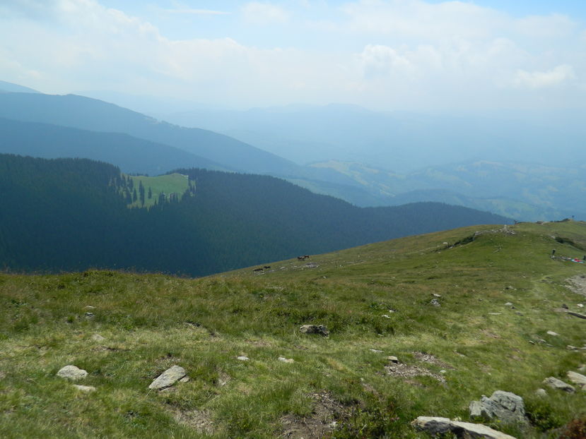  - 2016 PARANGU MIC _4