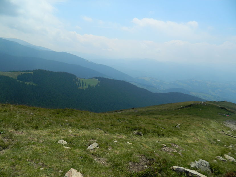  - 2016 PARANGU MIC _4