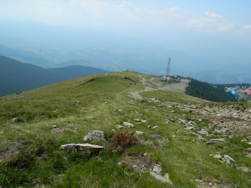  - 2016 PARANGU MIC _4