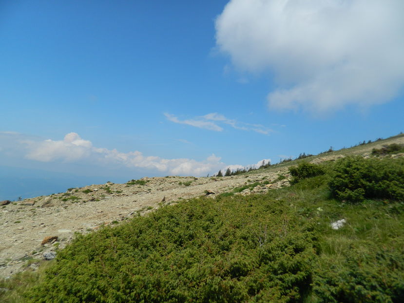  - 2016 PARANGU MIC _4