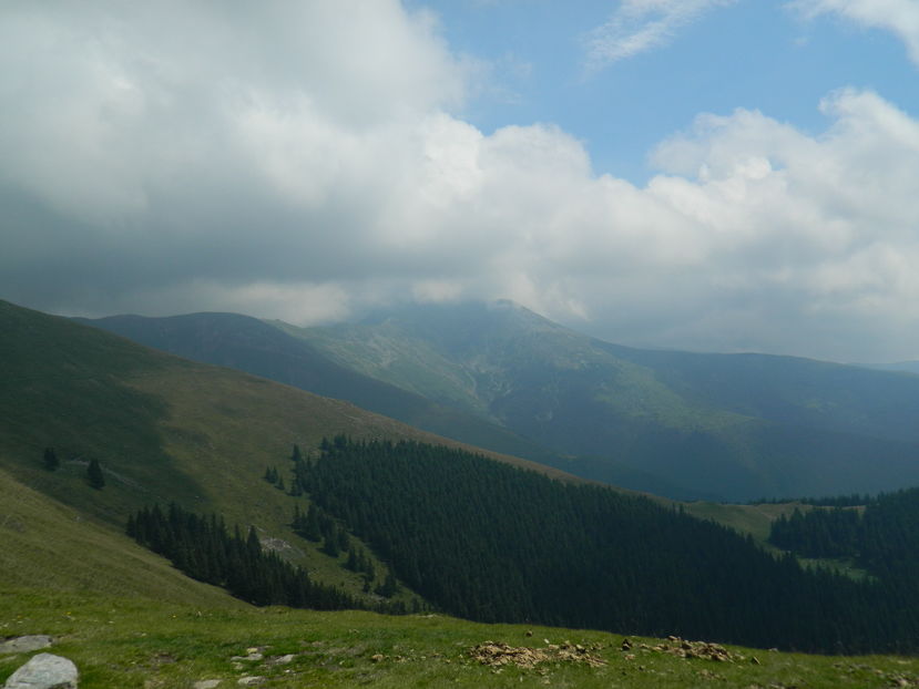  - 2016 PARANGU MIC _4