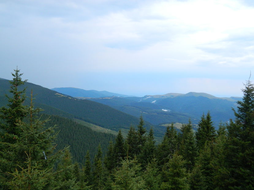  - 2016 PARANGU MIC _4