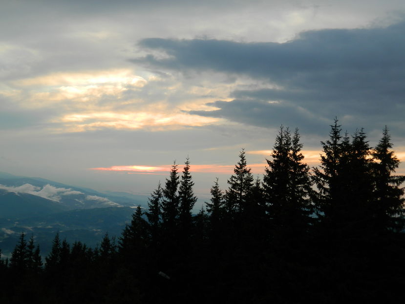  - 2016 PARANGU MIC _4