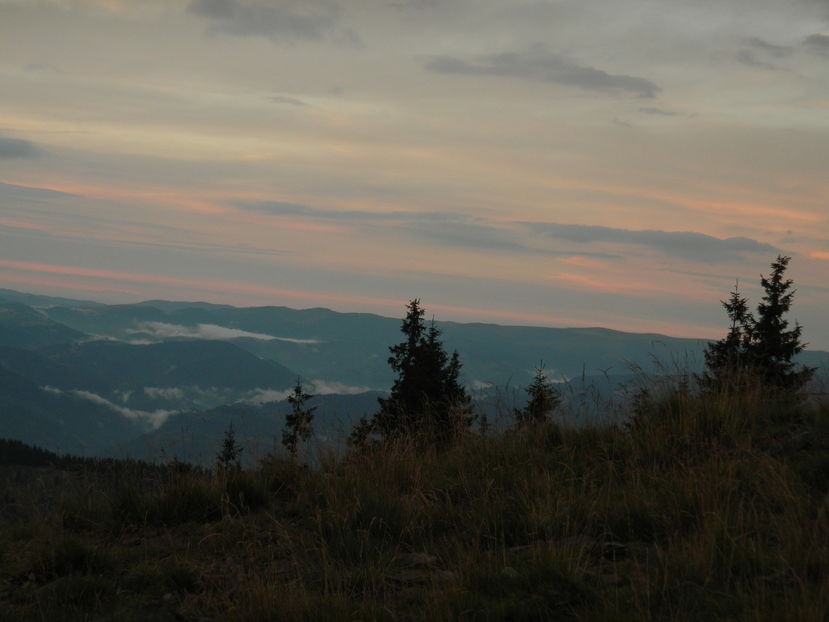  - 2016 PARANGU MIC _4