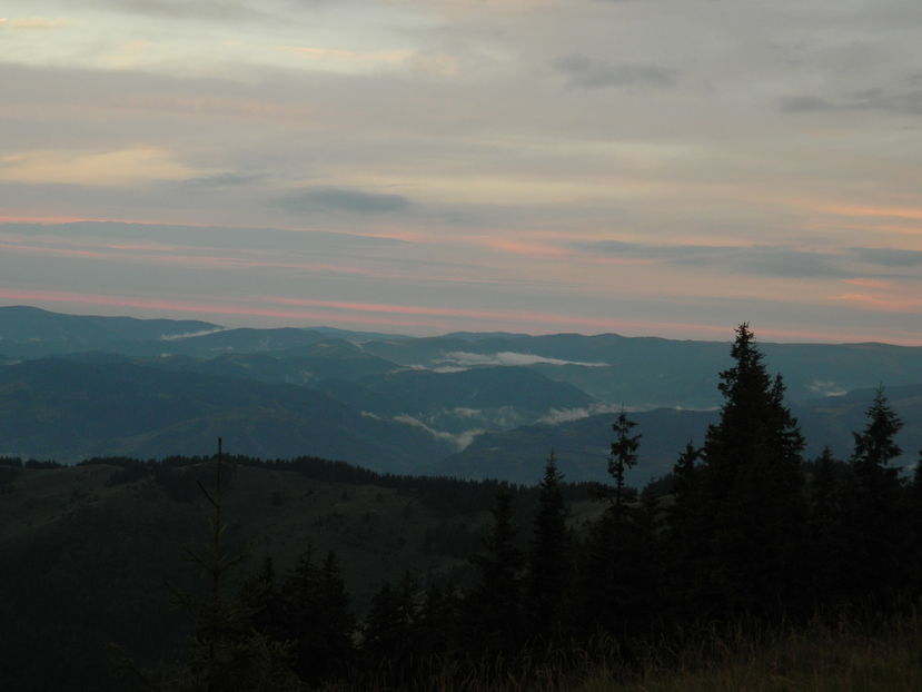  - 2016 PARANGU MIC _4