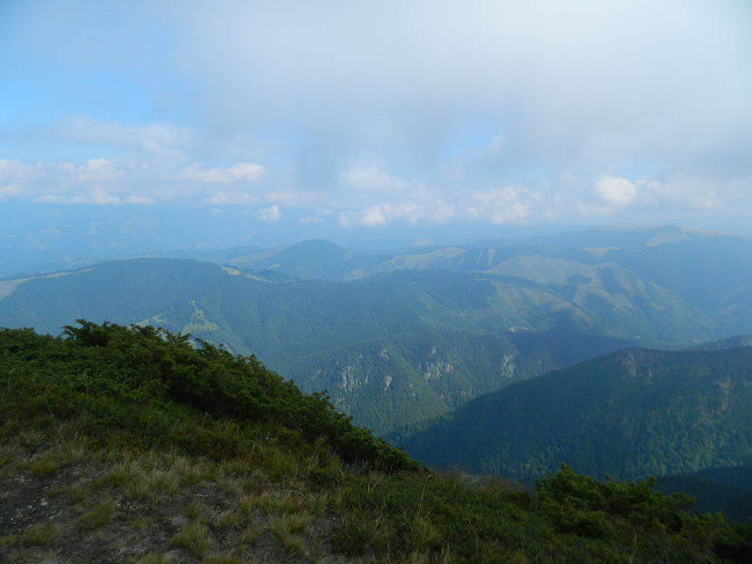  - 2016 PARANGU MIC _4 a