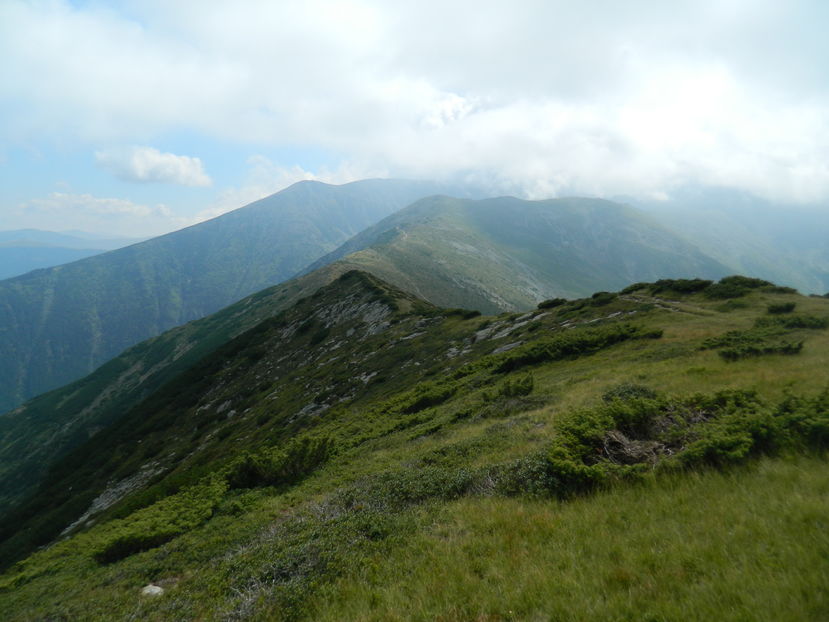  - 2016 PARANGU MIC _4 a