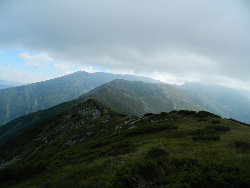  - 2016 PARANGU MIC _4 a