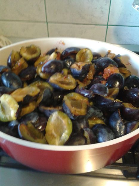MAGIUN PRUNE FARA ZAHAR