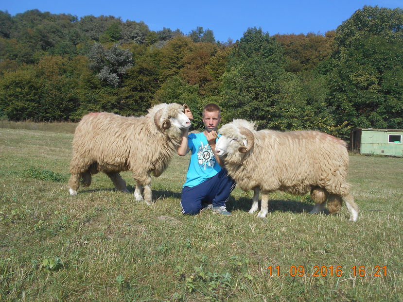 Picture 263 - Berbeci 2016-2017