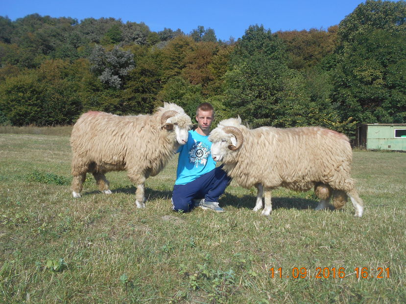 Picture 264 - Berbeci 2016-2017