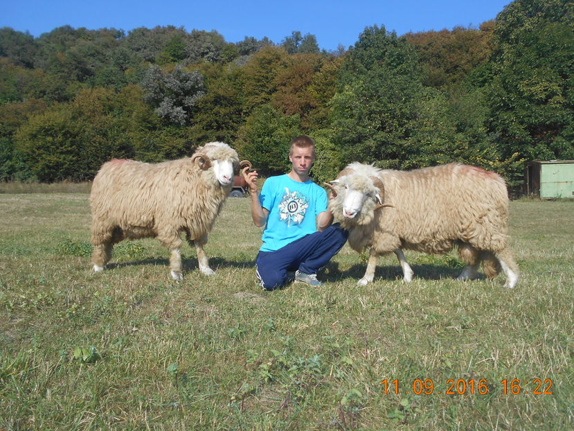 Picture 266 - Berbeci 2016-2017