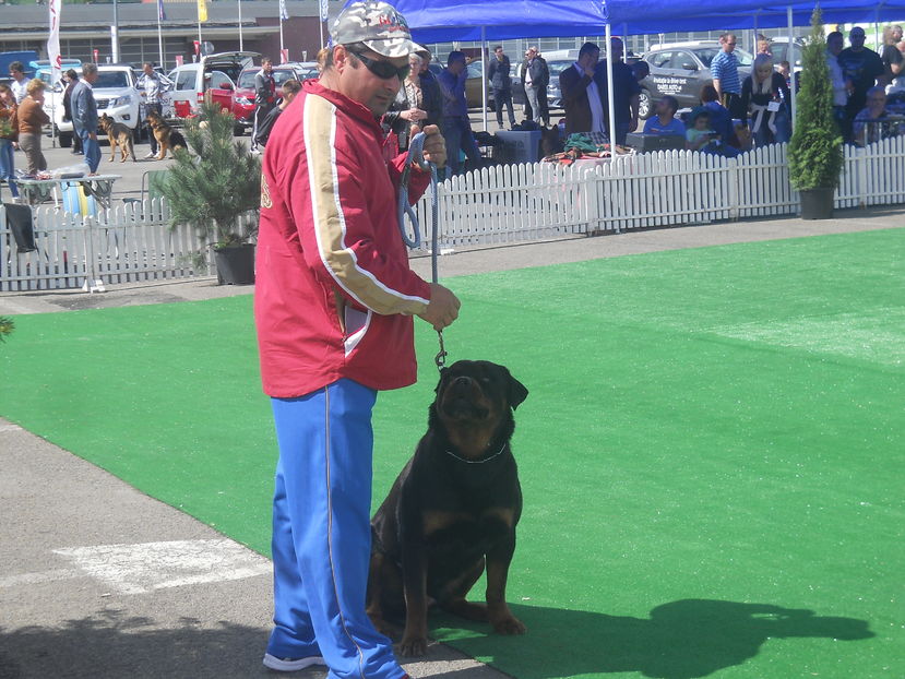  - Bucovina Dog Show 2016