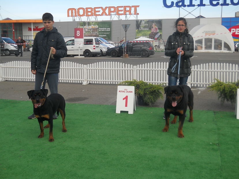  - Bucovina Dog Show 2016