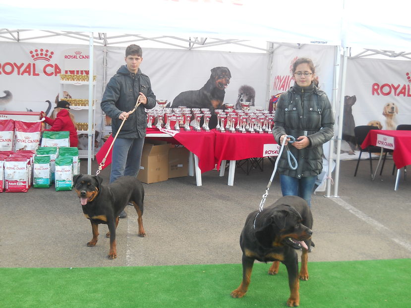  - Bucovina Dog Show 2016