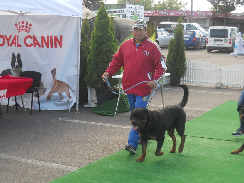  - Bucovina Dog Show 2016