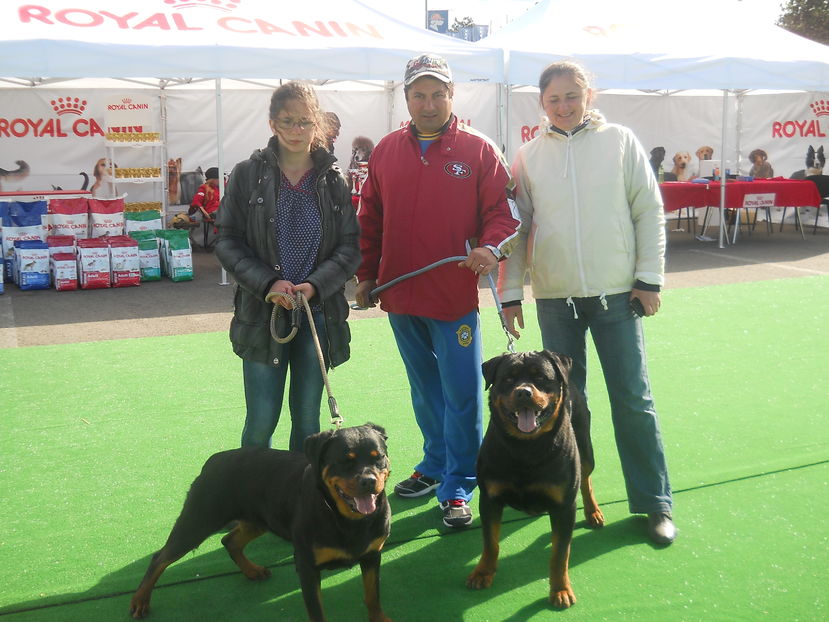  - Bucovina Dog Show 2016