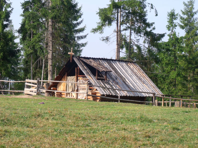  - Coboratul din munte cu vacile 2016