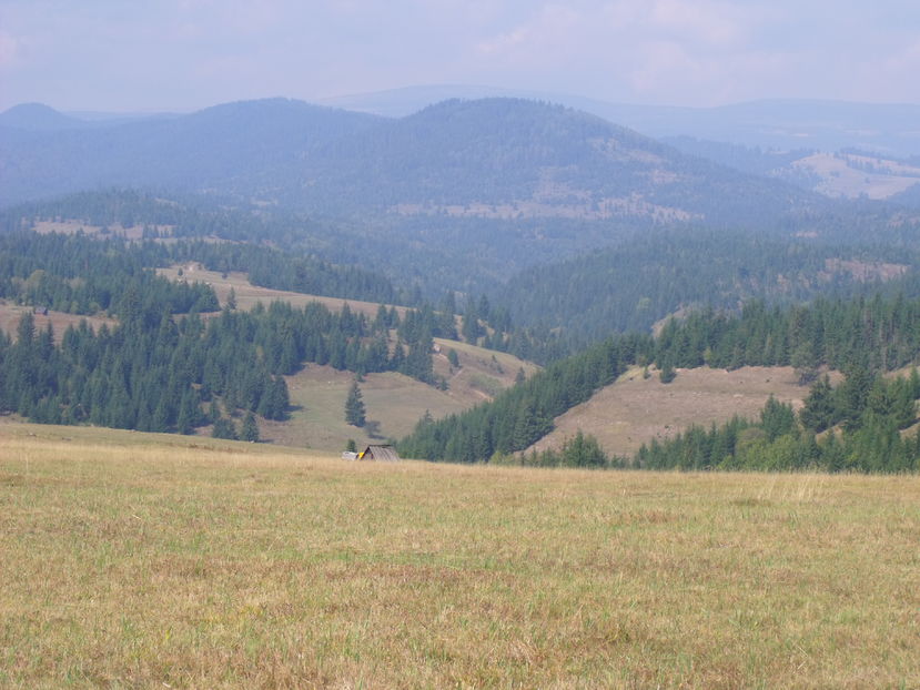 Paduri si pasuni dar putine oi , vaci si capre mai ales de lapte